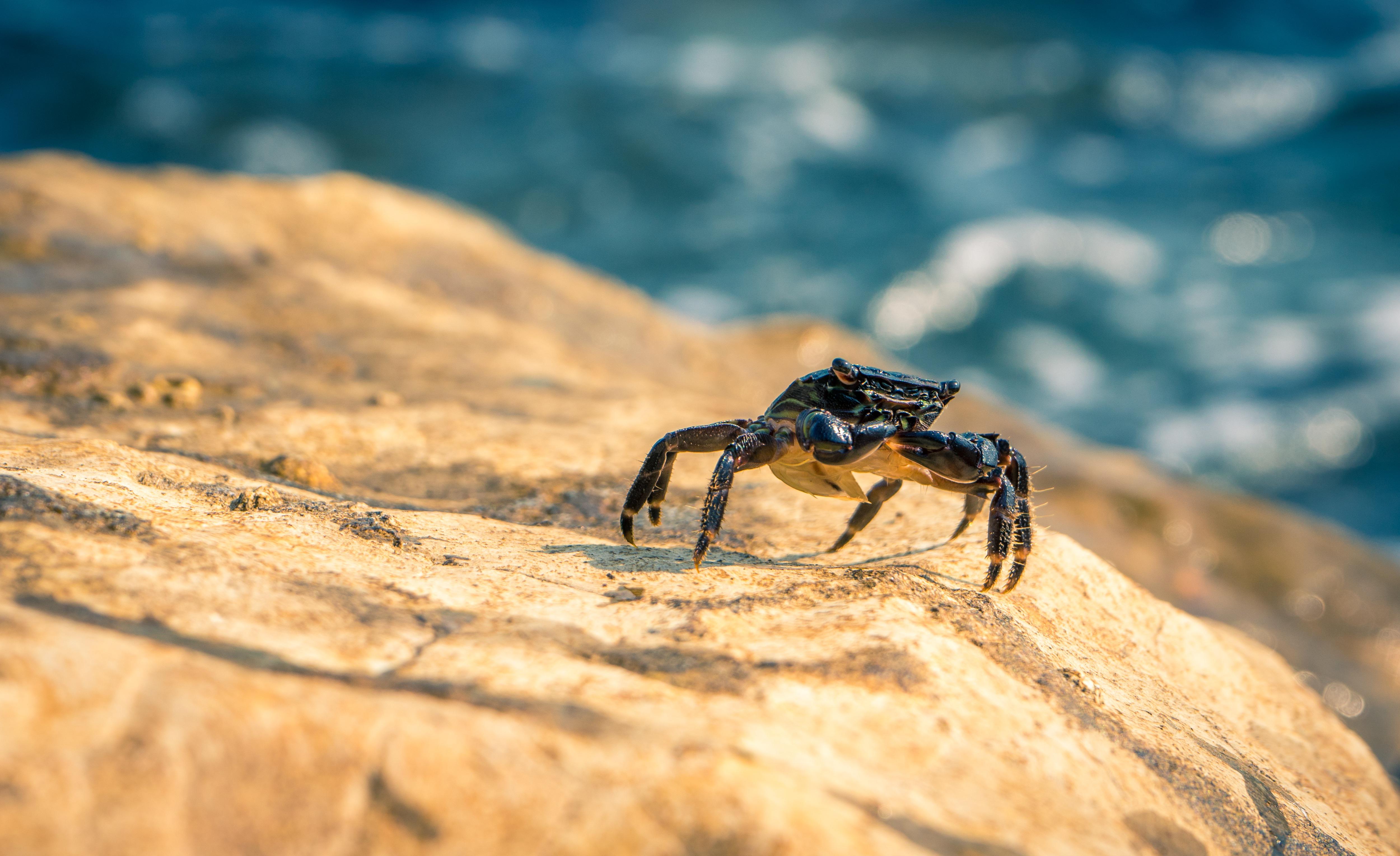 페이지 배경 이미지