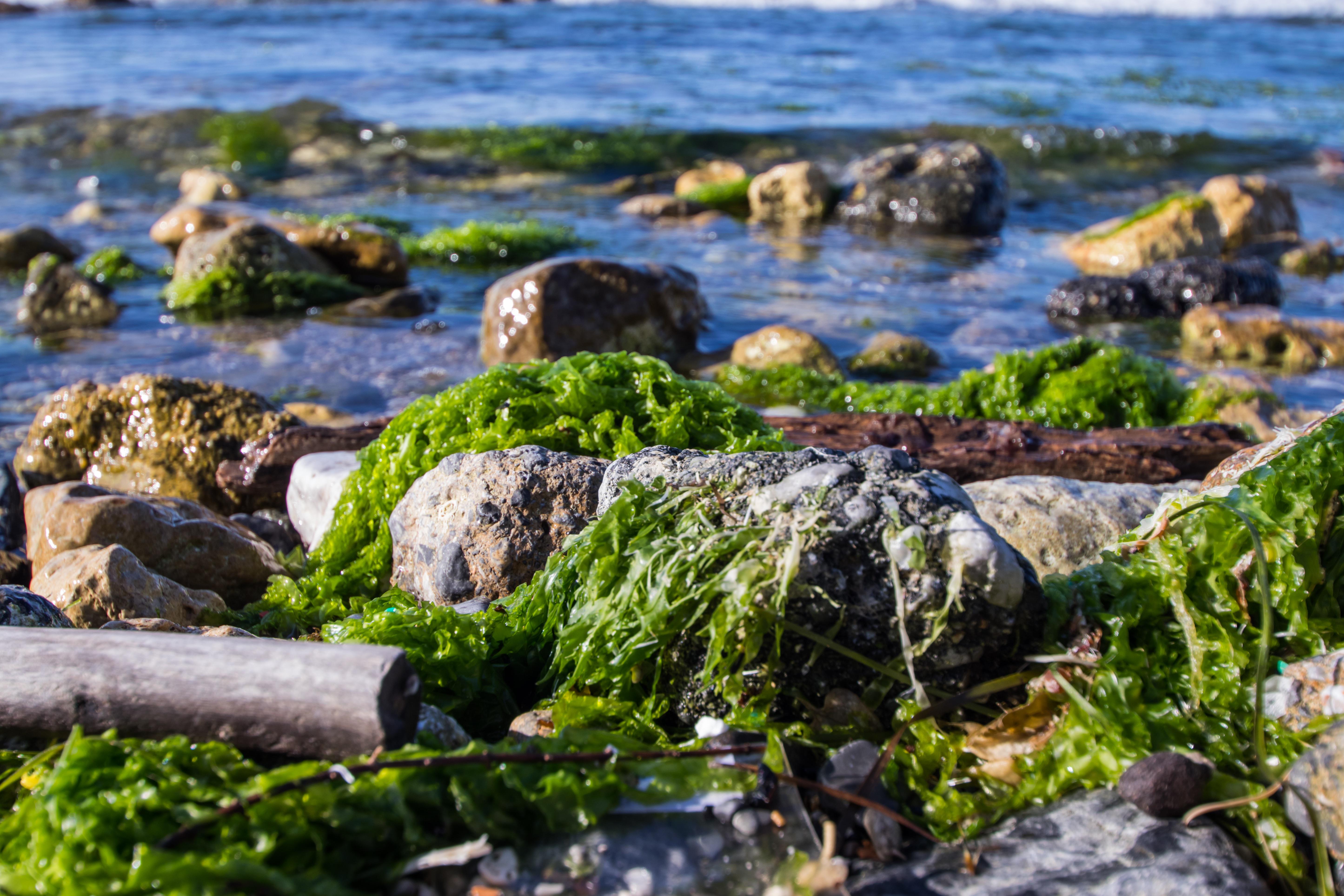 페이지 배경 이미지