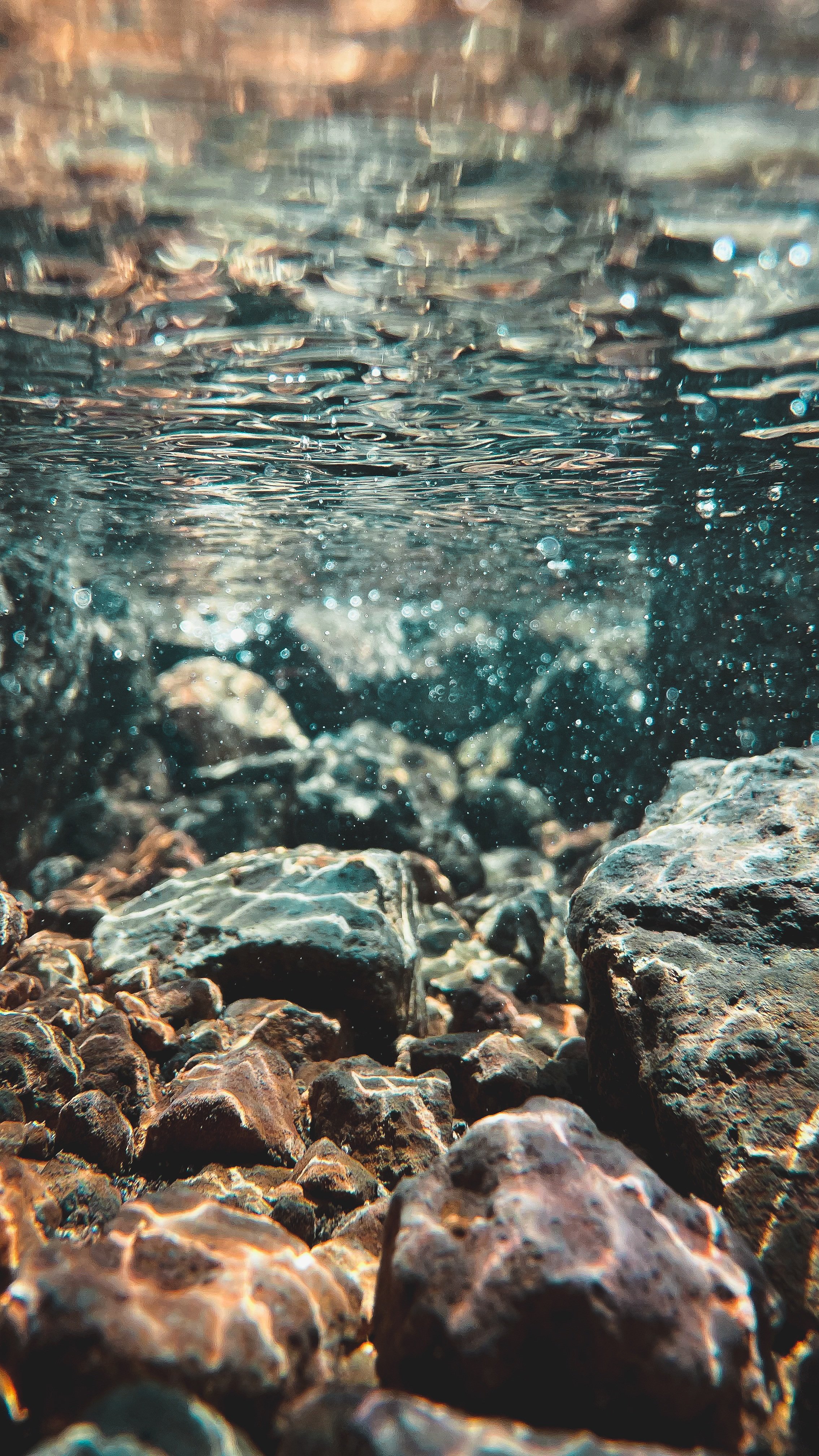 페이지 배경 이미지