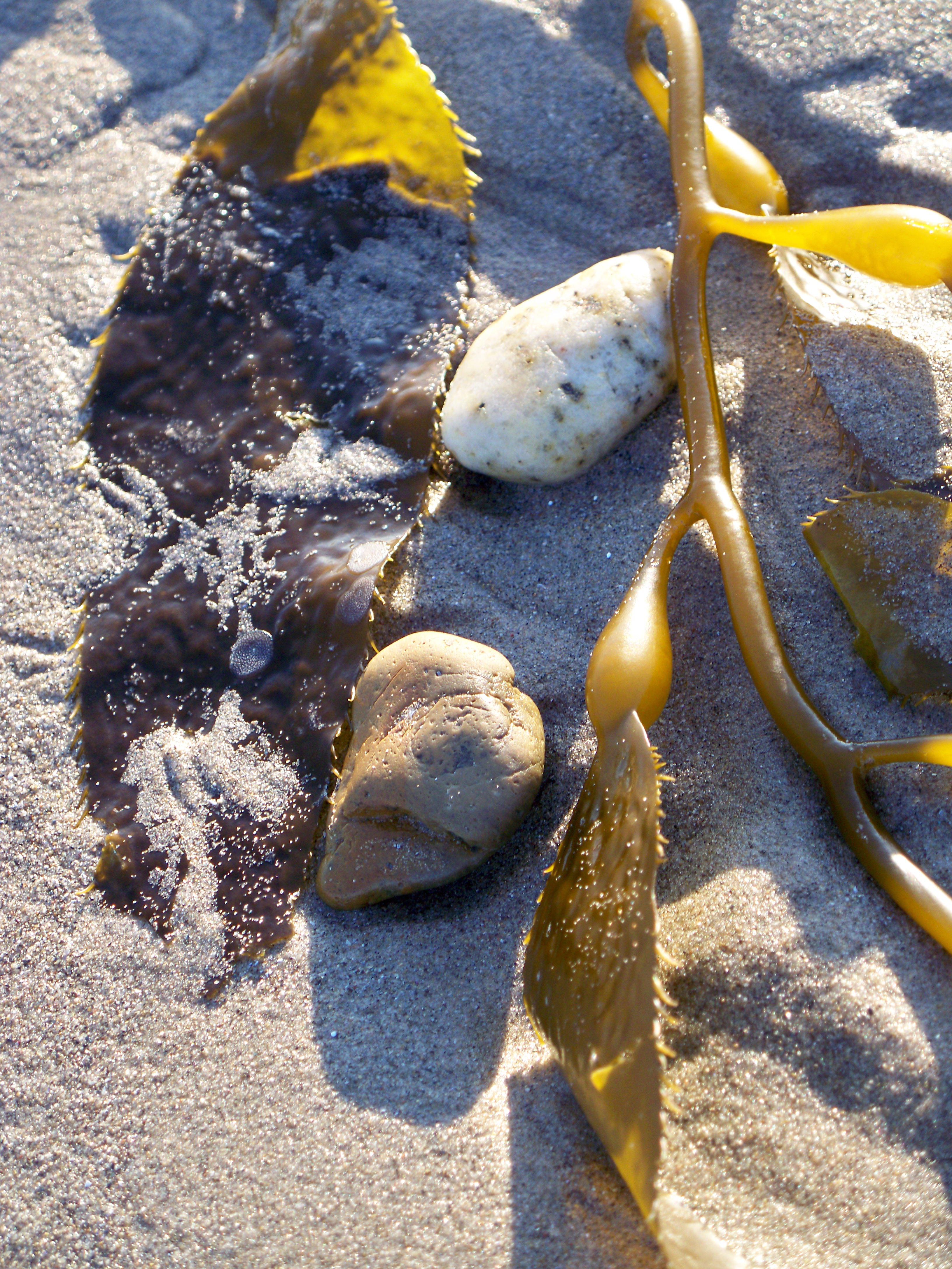 페이지 배경 이미지