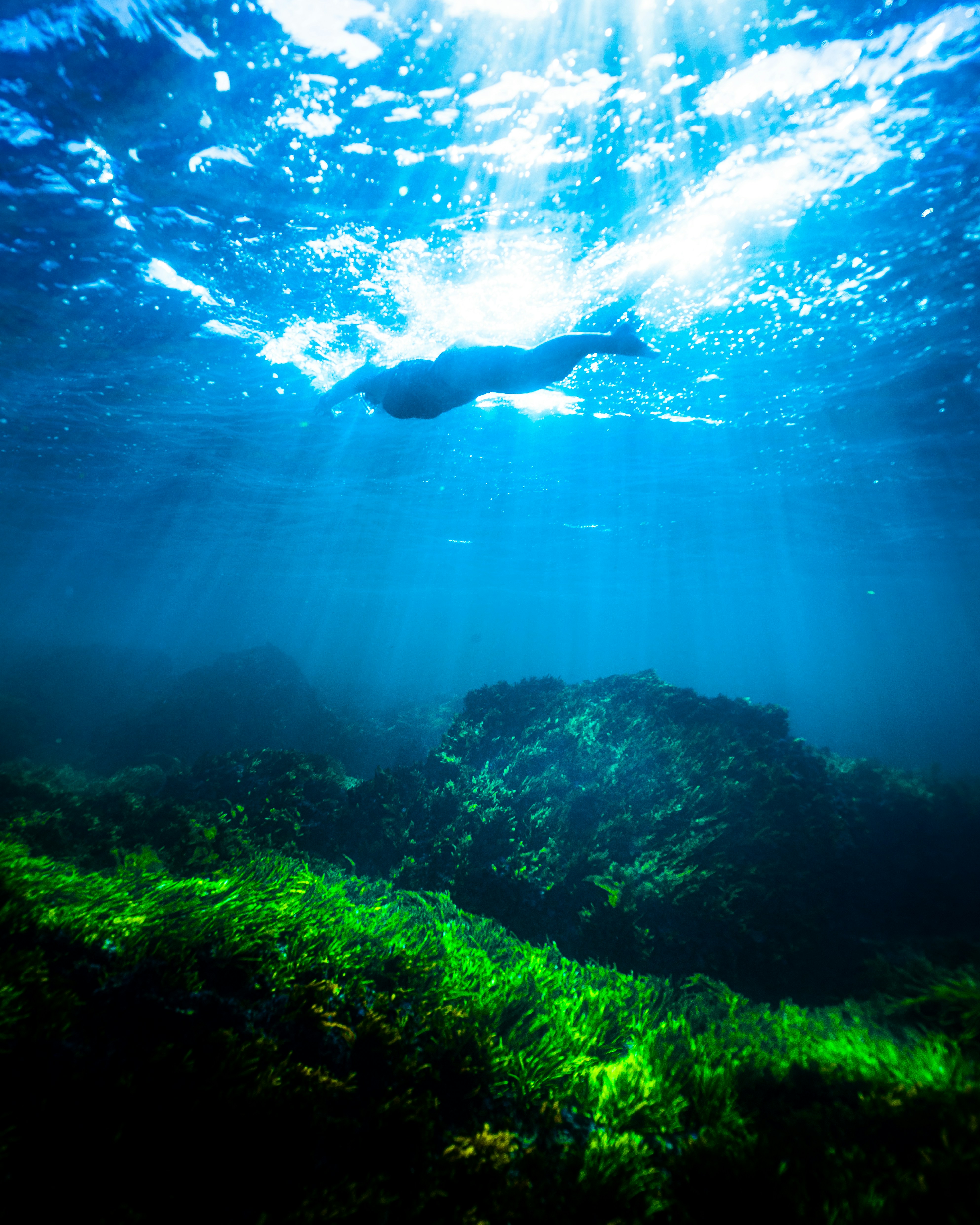 페이지 배경 이미지