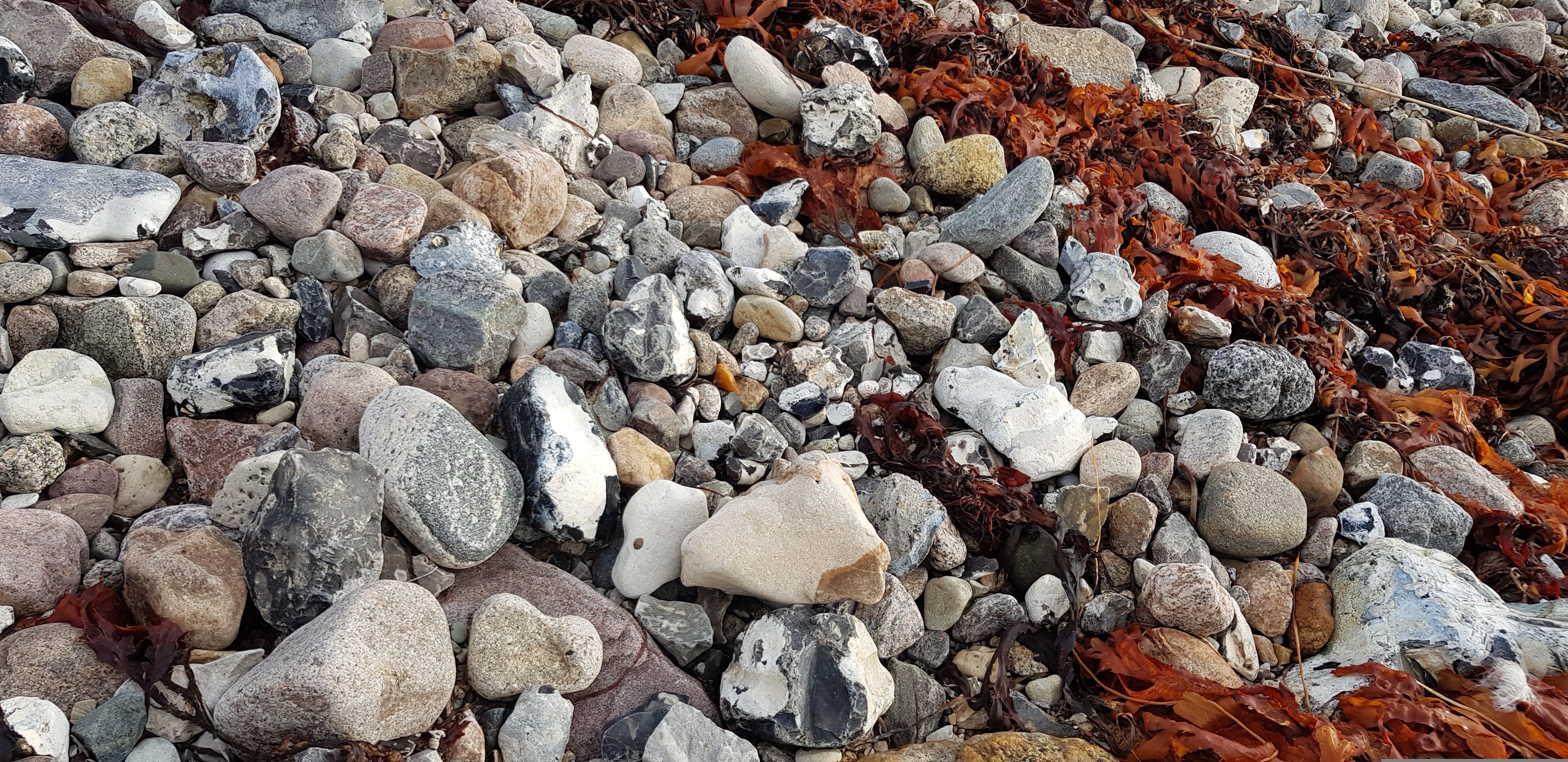 페이지 배경 이미지